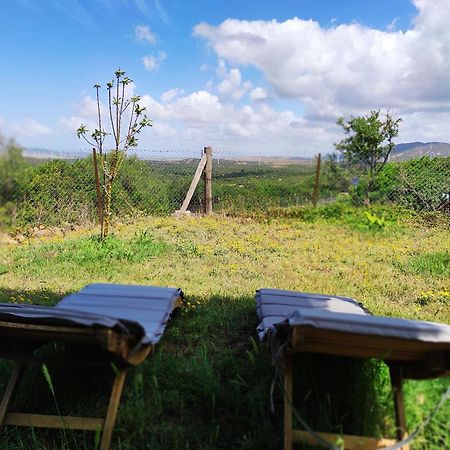 Complejo Rural Del Molino Dorado Villa Facinas Eksteriør billede