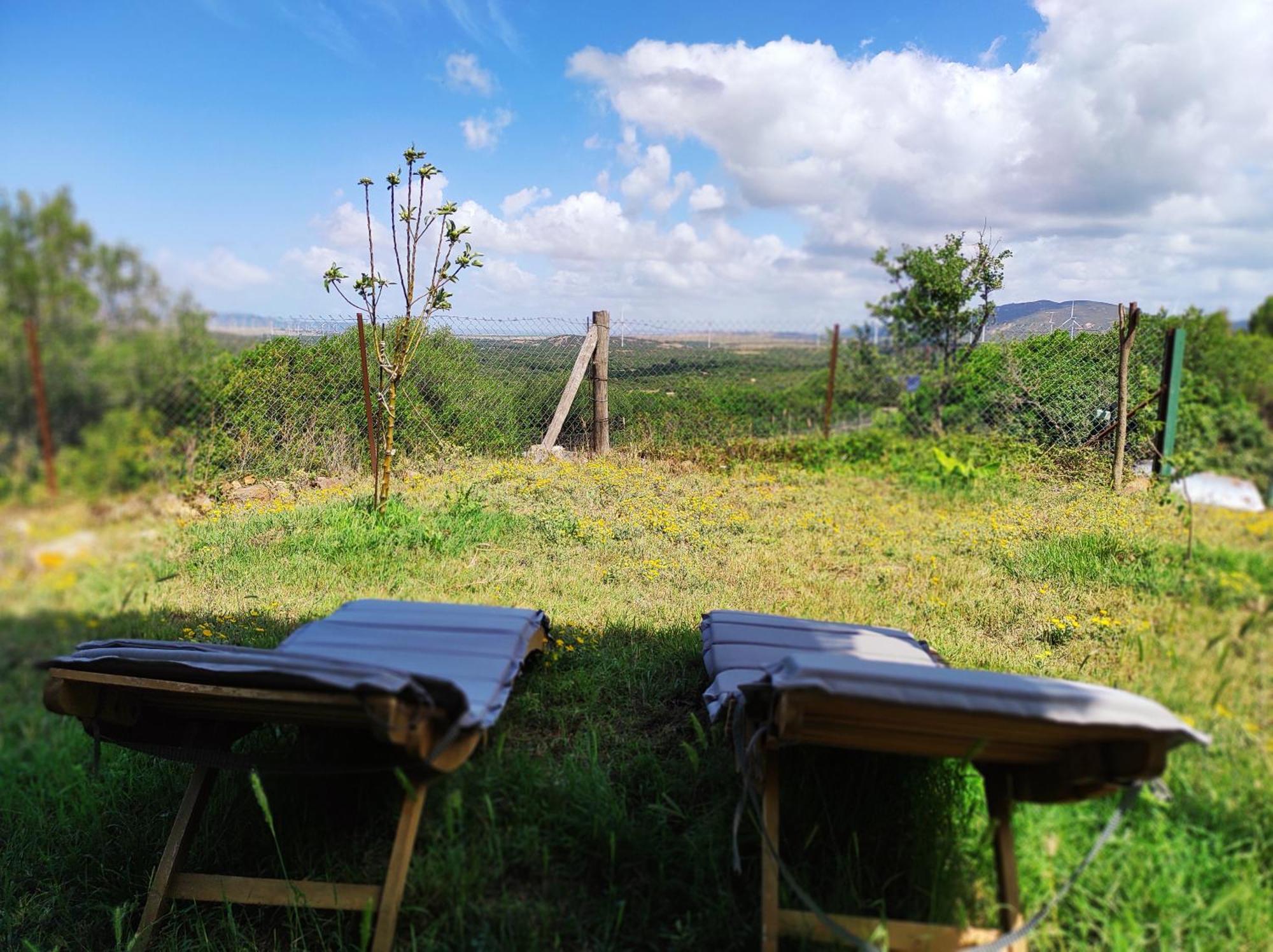 Complejo Rural Del Molino Dorado Villa Facinas Eksteriør billede